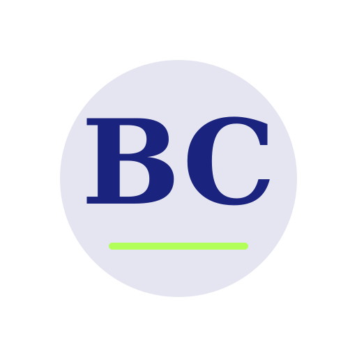 Brlo Chimney Repair logo
